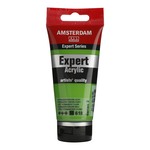 Amsterdam Acrylic Expert - 75 ml-Permanent grn ljus