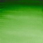 Akvarellfrg W&N Professional 5ml Tub - 311 Hooker's green