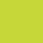 Touch Twin Brush Marker - Yellow Green Gy48