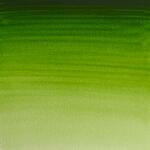 Akvarellfrg W&N Professional 14ml Tub - 503 Permanent sap green