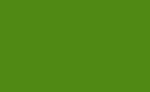 Frgpenna Polychromos - 167 Permanent Green Olive