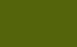 Frgpenna Polychromos - 174 Chromium Green Opaque