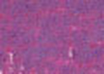 Oljepastell Sennelier 5 ml - Red Violet (048)