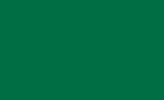 Frgpenna Polychromos - 264 Dark Phthalo Green