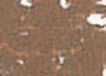 Oljepastell Sennelier 5 ml - Sennelier Brown Light (093)