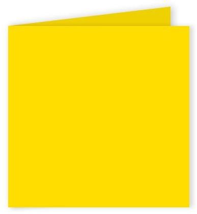 Pollen Dubbelkort 160x160- 25-pack - Intensiv gul