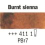 Rembrandt Akvarellmaling 1/2-pan - Brun-1-Brun sienna