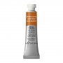 Akvarellfärg W&N Professional 5ml Tub - 059 Brown Ochre