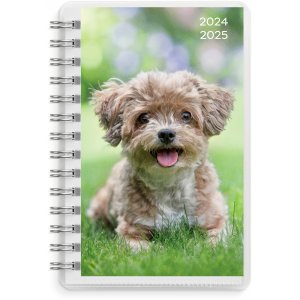 Kalender 24/25 Compact - Pets