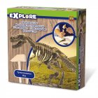 Utforska - T-rex