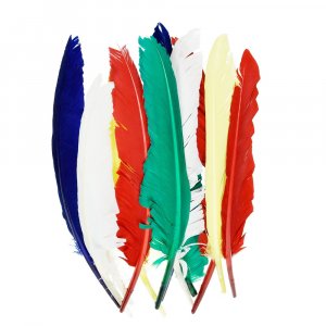 Indianerfjær 20 - 30 cm - flere farger blandet 10-pakning