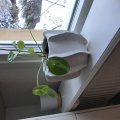 Kundbild Gipsbindor 5-pack: Hade ingen aning om att man kunde...