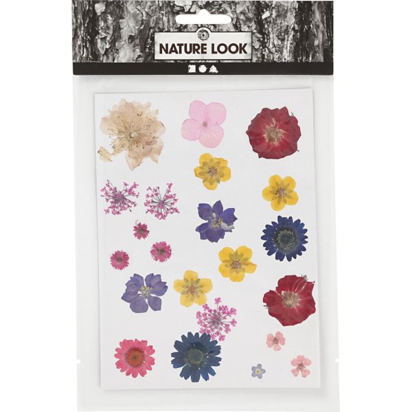 Torkade blommor och blad - mixade färger Torkade blommor och blad - mixade färger