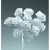 Dior rose  15 mm - hvit