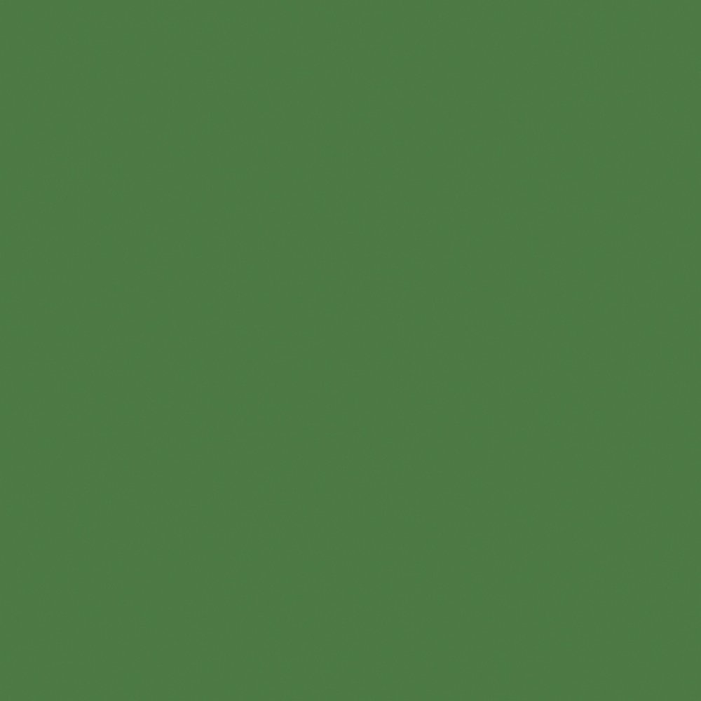My Color Cardstock Classic 30,6x30,6 cm 216g - Högtidsgrön - Design & motivark, Scrapbooking, Pyssla