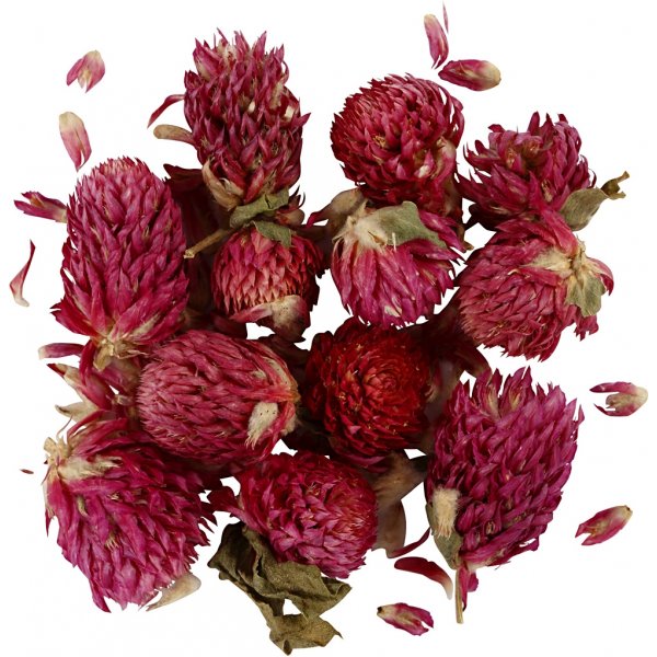 Torkade blommor - Rödklöver - 15 g Torkade blommor - Rödklöver - 15 g