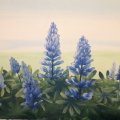 Kundbild FolkArt medium flytande - 59 ml: Lupiner
