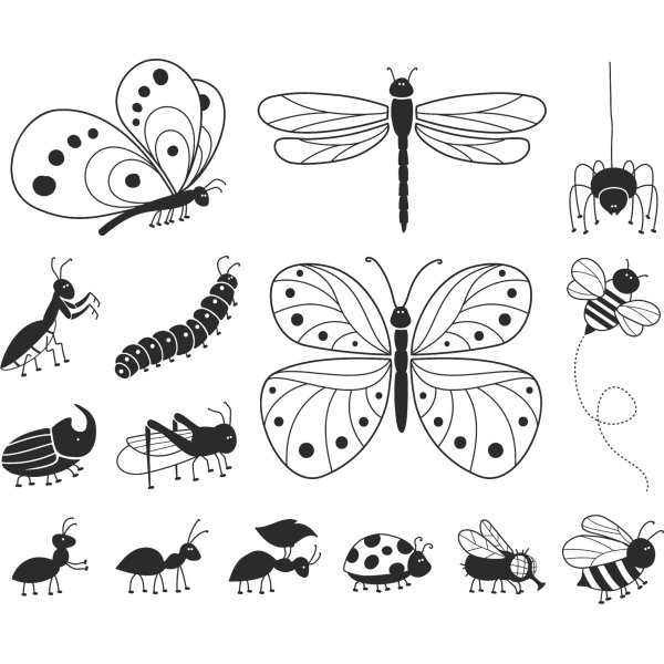 St�mpelset insekter