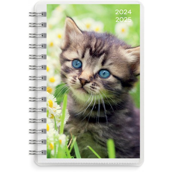 Kalender 24/25 Compact - Pets Kalender 24/25 Compact - Pets