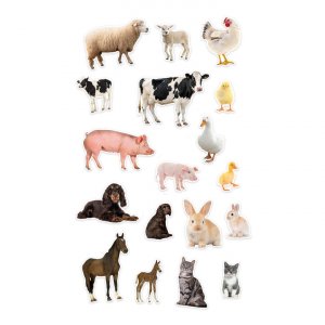 Magneter bondg�rdsdjur 3,5�7 cm - 18 st