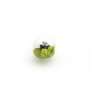 Delbara plastkulor 5 cm - 5 st Delbara plastkulor 5 cm - 5 st