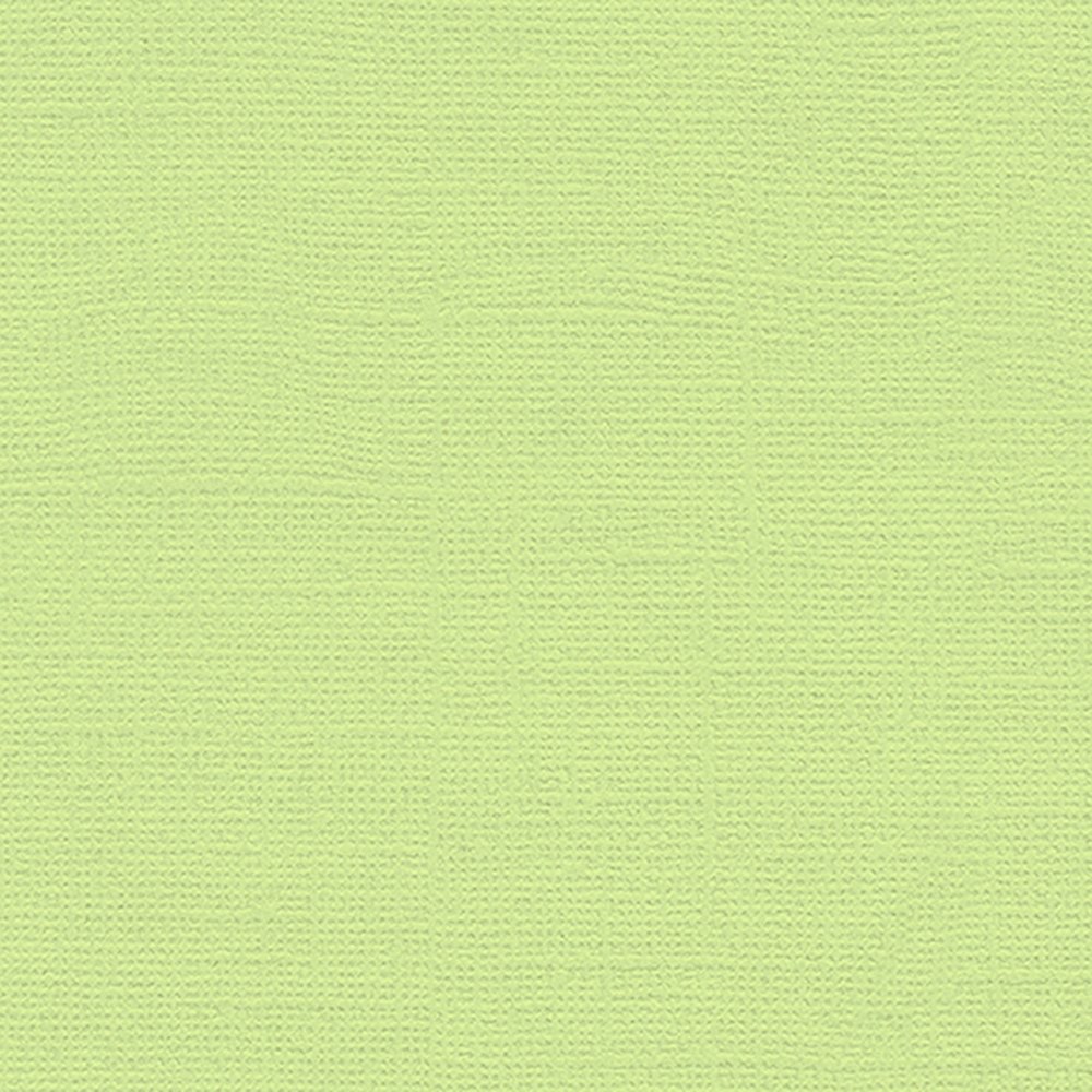 My Color Cardstock Canvas 30,6x30,6 cm 216 g - Lime Pop - Design & motivark, Scrapbooking, Håndværk