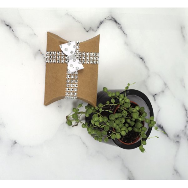 Presentaskar berlingot kraft 7,7 x 12,3 cm - 6 st