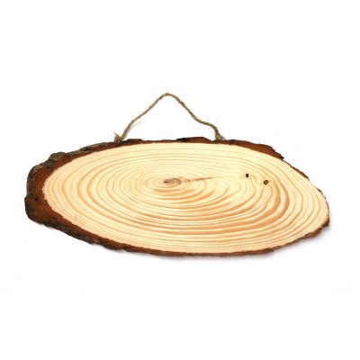 Ubehandlet trskive med trd til ophnging Oval - 22x6 cm
