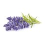 Doftolja för ljus 27 ml - lavendel Doftolja för ljus 27 ml - lavendel