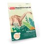 3D-pussel i tr� - Diplodocus, 38 delar