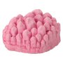 Vetenskapsset Lilla arkeologen kristallgruva 18 mineraler 15 x 13 x 8 cm Vetenskapsset Lilla arkeologen kristallgruva 18 mineraler 15 x 13 x 8 cm