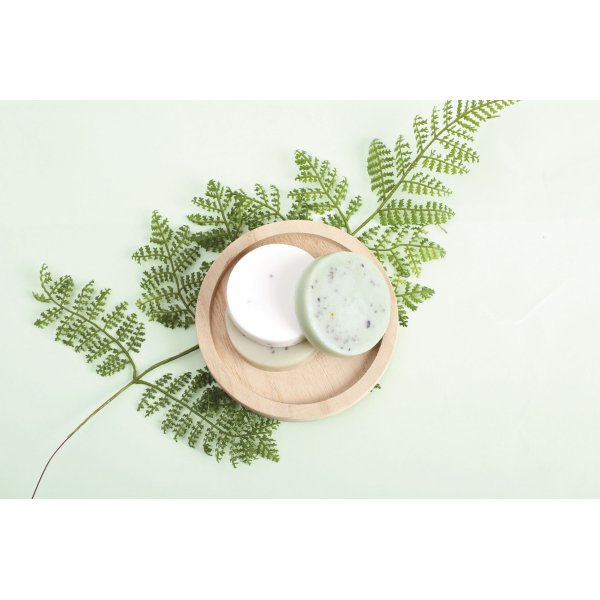 Schampostycke 100 g med aloe vera Schampostycke 100 g med aloe vera