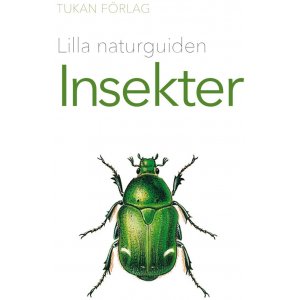 Lilla naturguiden: Insekter