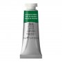 Akvarellfärg W&N Professional 14ml Tub - 311 Hooker's green