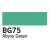 Copic Sketch - BG75 - Abyss Green